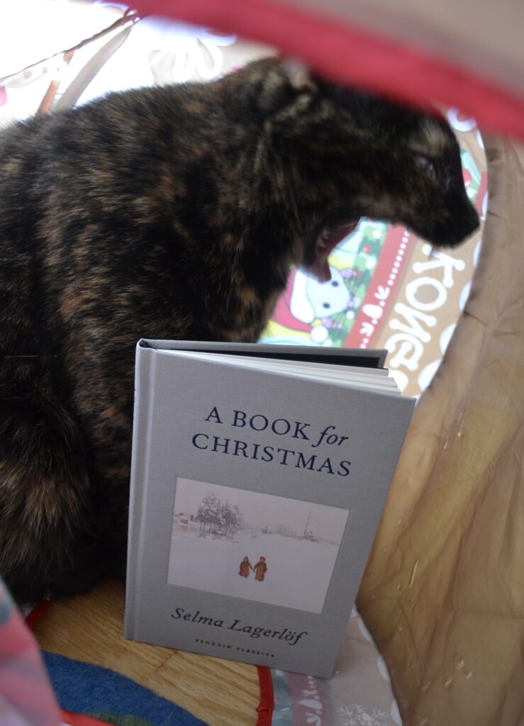 A tortie yawns so wide that it looks like it's going to swallow the book below it. The book is a small grey hardcover titled A Book for Christmas.