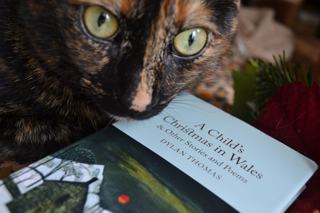A tortoiseshell cat with bright yellow eyes rests her chin on a pale blue book.