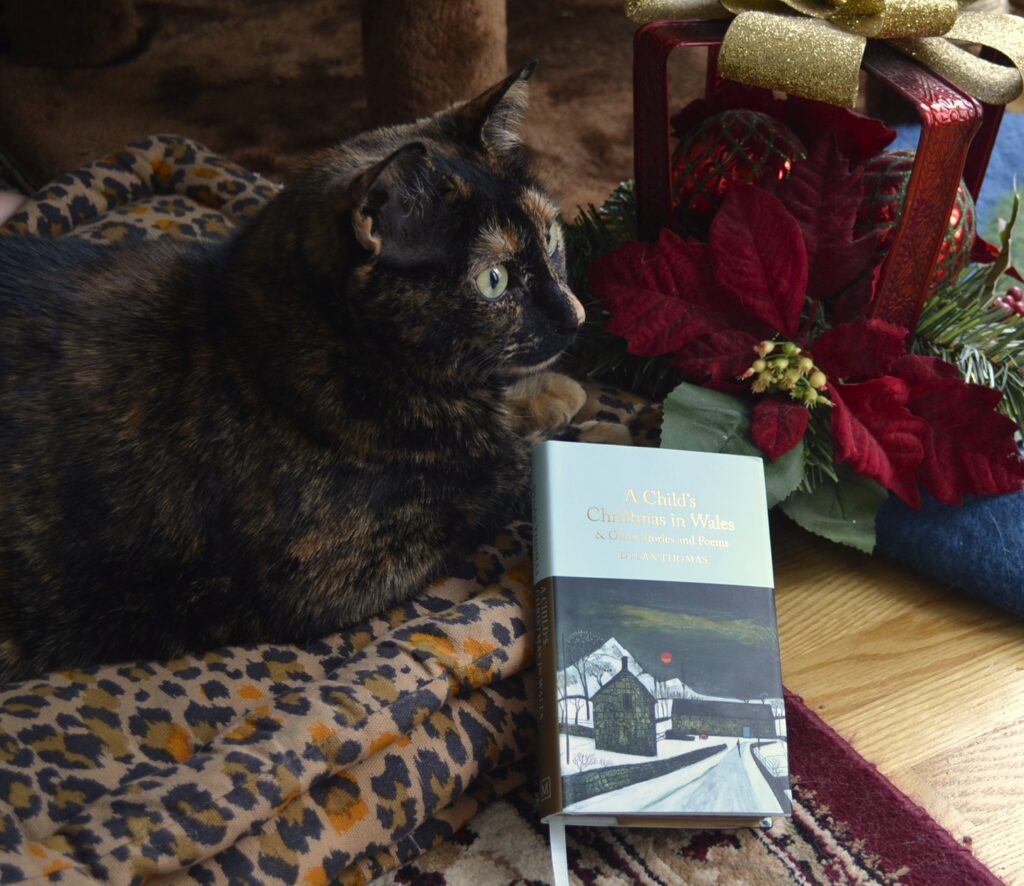 A tortoiseshell cat lounges beside a small hardcover book by Dylan Thomas. The book is pale blue with gold text.