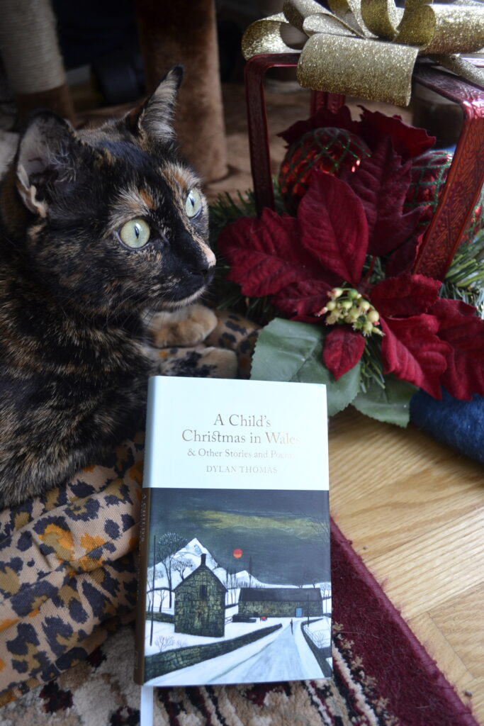 A tortoiseshell cat sits beside a red holiday present decoration and a copy of Dylan Thomas' A Child's Christmas in Wales.