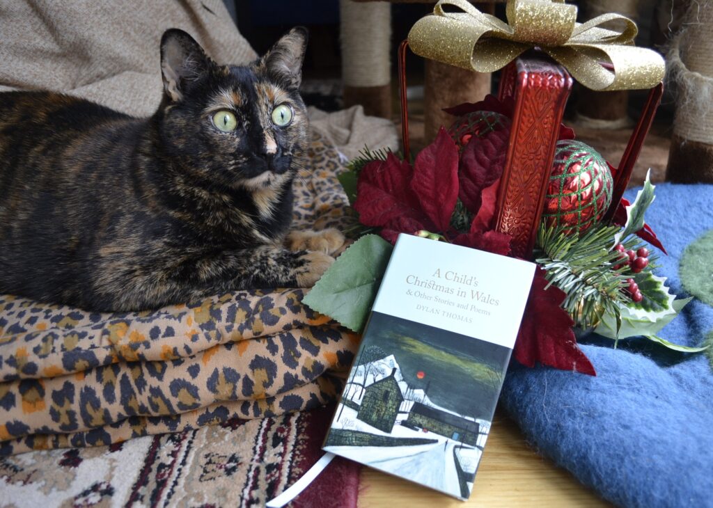 A tortoiseshell cat and a decorative present-shaped centrepiece sit beside a small hardcover book.