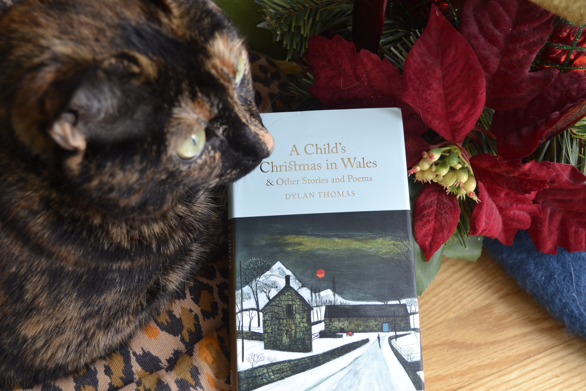 Beside a tortoiseshell cat and a fake poinsettia is a small hardcover book. The title portion is pale blue and a painting of a stone house is on the cover.