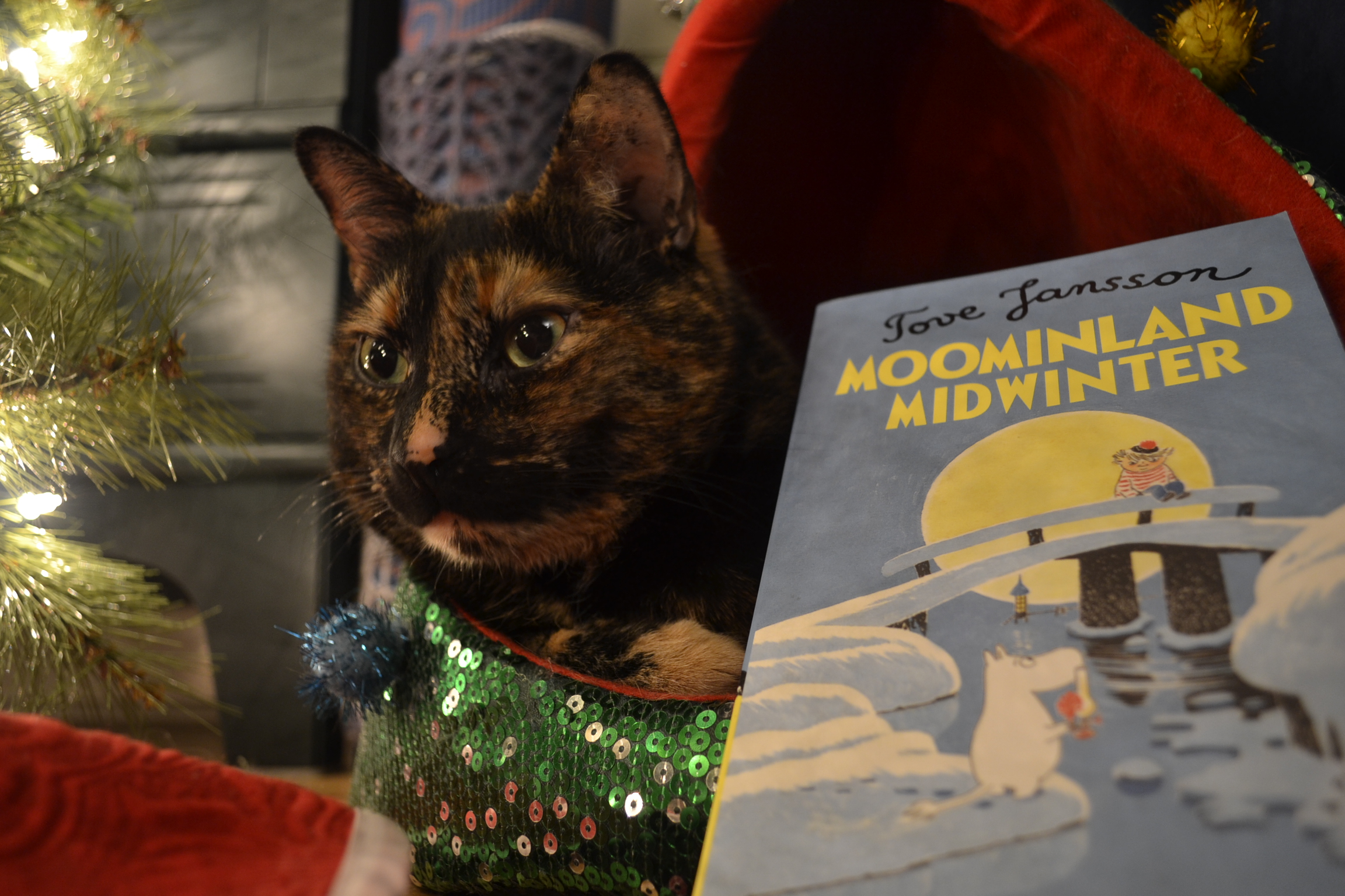 Moominland Midwinter is a blue paperback that features a picture of Moomin holding a lantern on an icy riverbank. On a snowy bridge, a person in a striped-shirt looks down.
