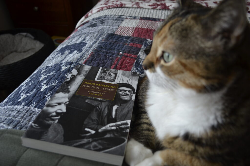 A book cover features an old photo of two smiling men in a rundown tavern. Beside the book is a calico tabby, sitting primly on a bed.