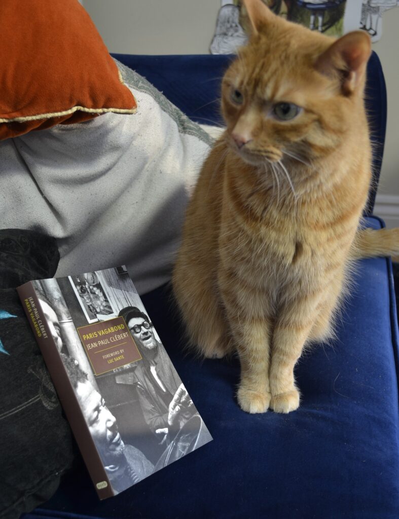 An orange tabby cat sits on a blue sofa beside a copy of Paris Vagabond.