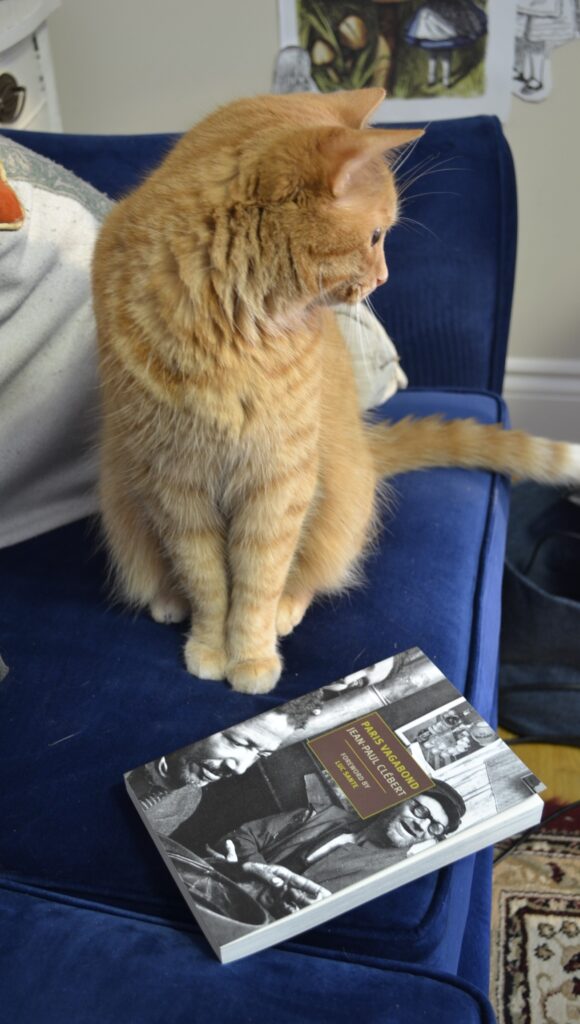 An orange tabby cat sits on a blue velvet sofa with a black-and-white paperback.