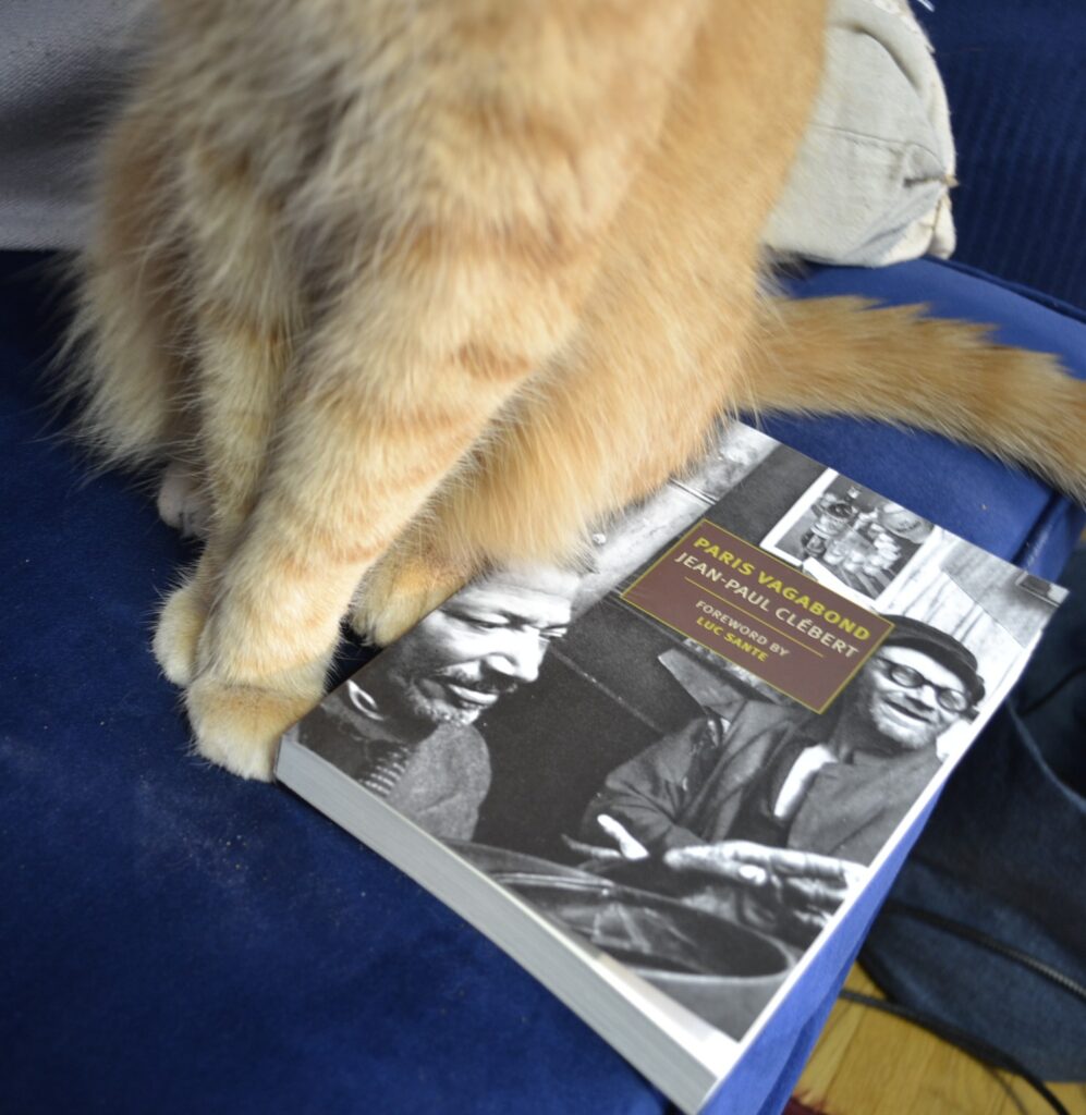 The paws of an orange tabby cat frame a paperback edition of Paris Vagabond.