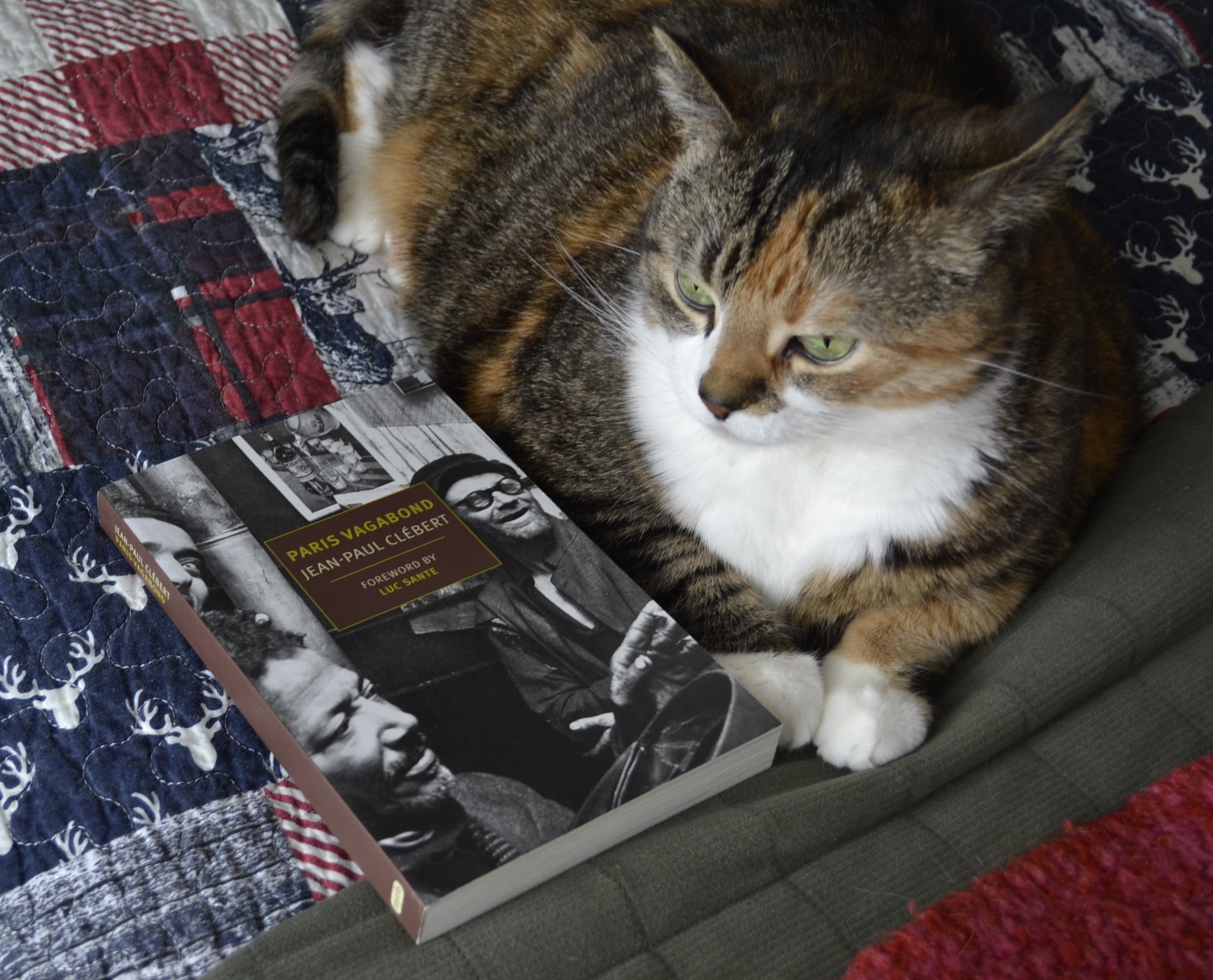 A calico tabby sits beside a copy of Paris Vagabond by Clébert.