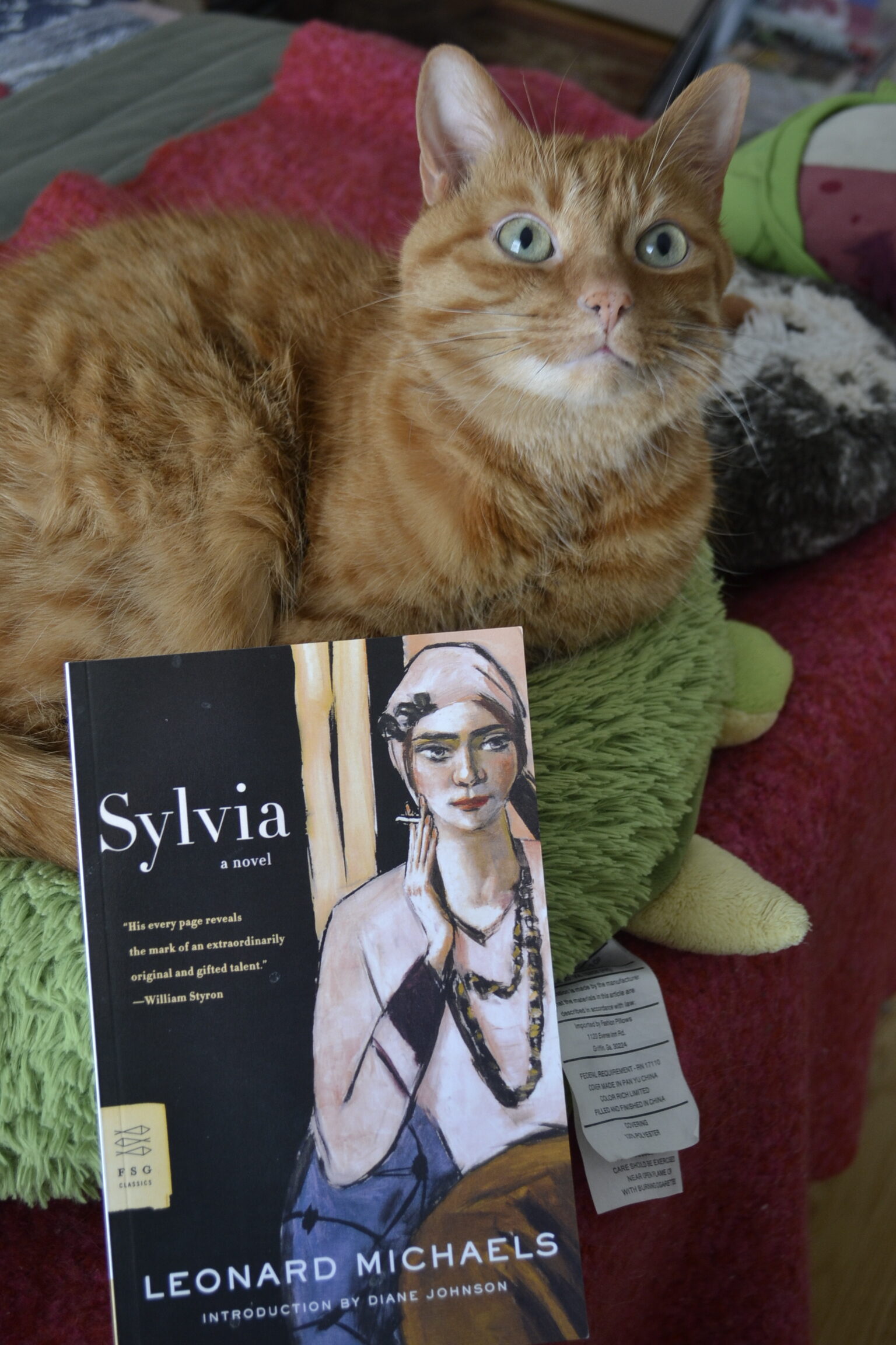 An orange tabby cat looks up sweetly. She is sitting on big plushie turtle beside a book, Sylvia by Leonard Michaels.