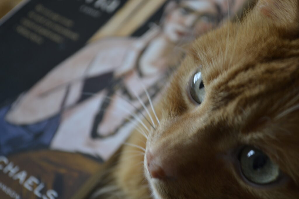 A orange tabby looks up, her yellow-green eyes bright. A book by Michaels is behind her.