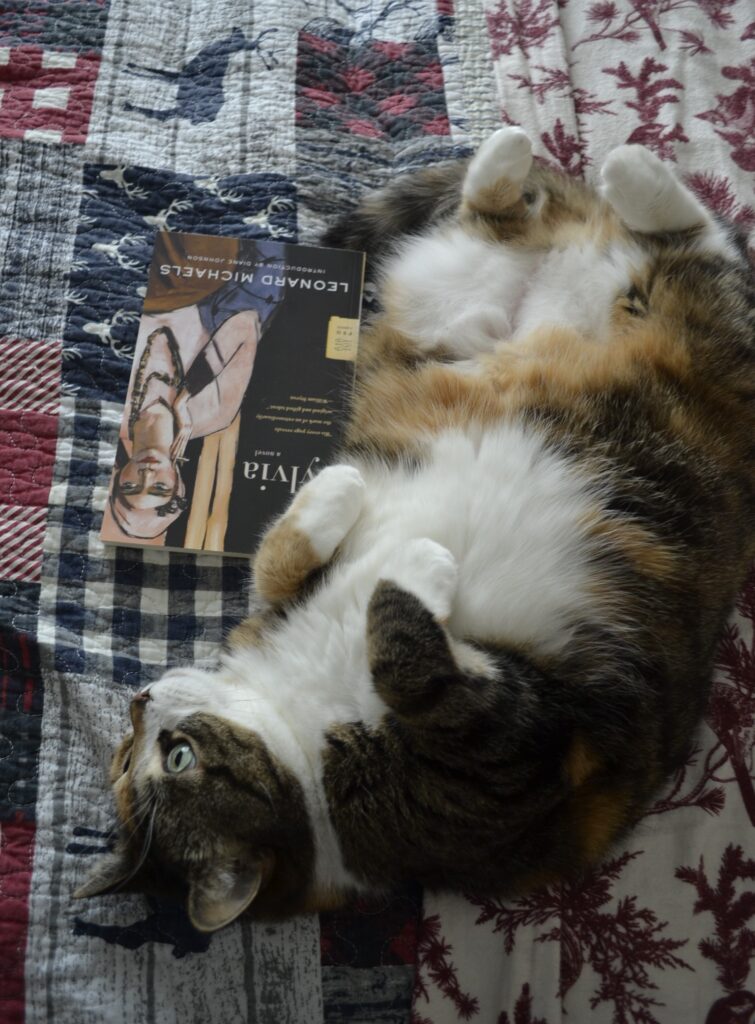 A calico tabby lies belly-up beside a book. Both cat and book are upside-down.