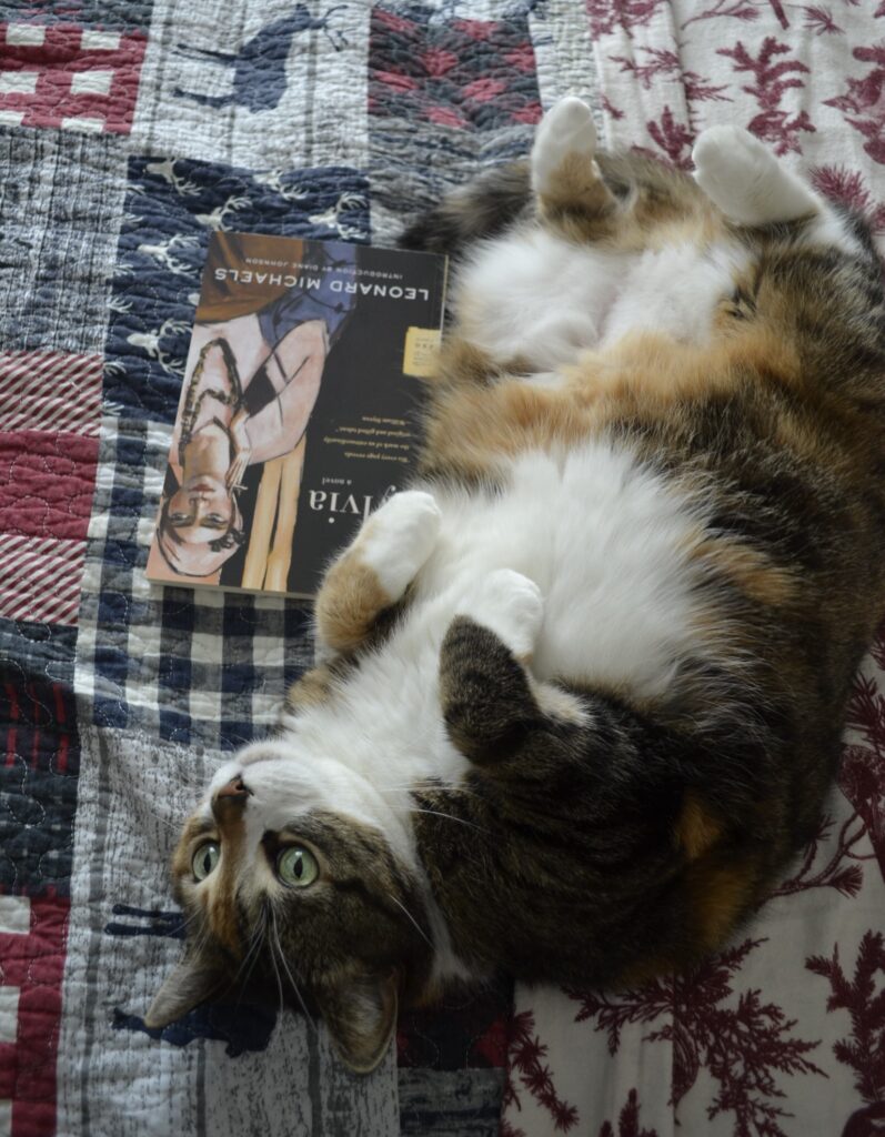 A calico tabby rolls with its belly up and its paws curled up. Big green eyes stare up at the sky.