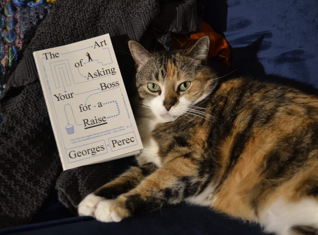 A calico tabby lies beside a copy of The Art of Asking Your Boss for a Raise. The cover features many arrows leading a person to a trash can.