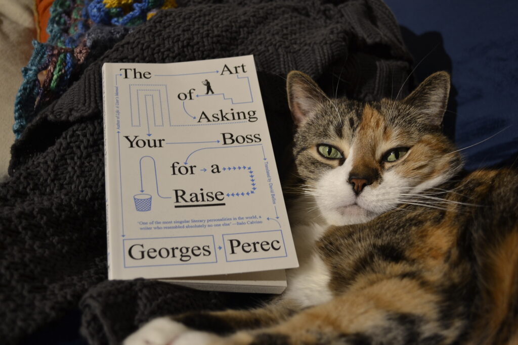 The Art of Asking Your Boss for a Raise by George Perec is a white paperback with complex blue lines directing a person reading a map to a garbage can.