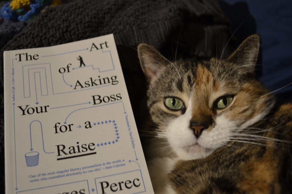 A calico tabby with yellow-green eyes tucks her chin down and looks serene. A copy of The Art of Asking Your Boss for a Raise by George Perec.