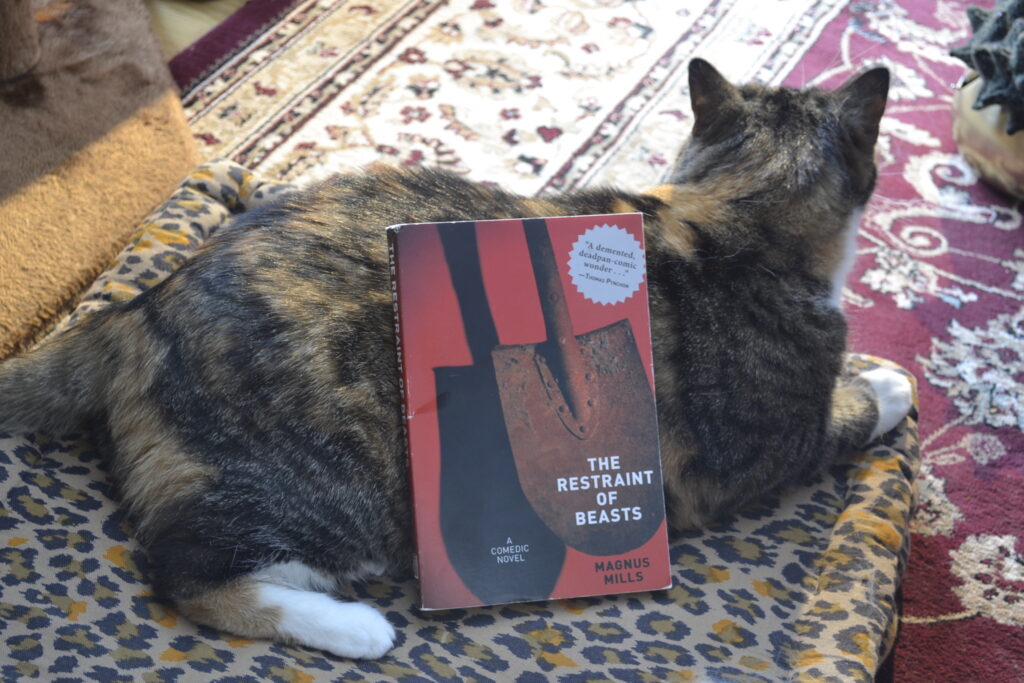Magnus Mills' The Restraint of Beasts is a red paperback with a picture of a rusty shovel on the front.
