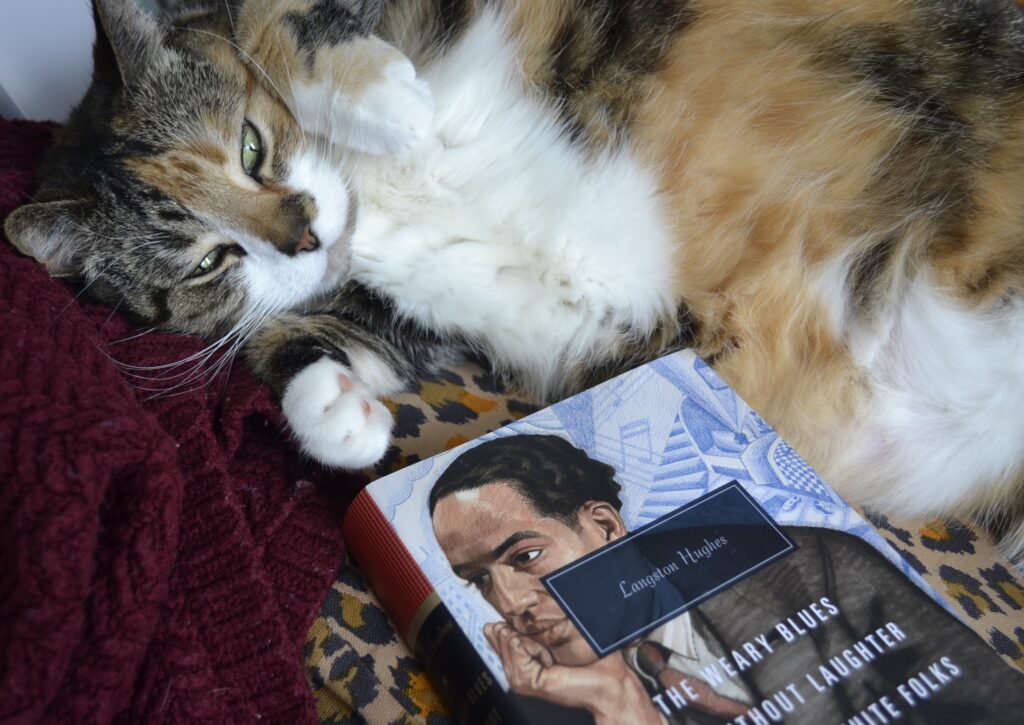 A calico tabby sleepily shows her belly beside a hardcover book. The book is a compilation of The Weary Blues, Not Without Laughter, and The Ways of White Folks.