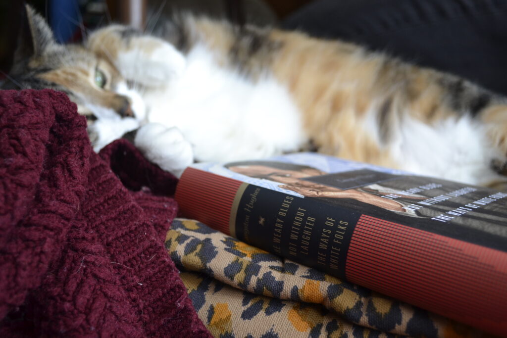 An Everyman's Library compilation of Langston Hughes work is a hardcover book with a red spine and a painted picture of the author on the cover.