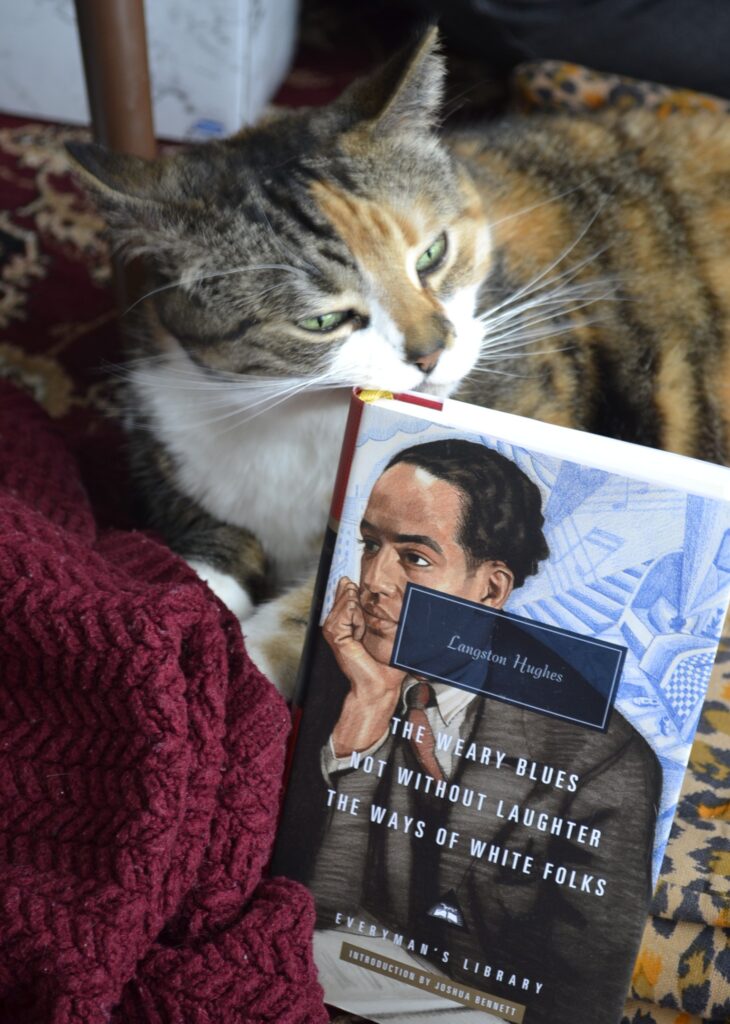 A calico tabby rubs along the top of a compilation of some of Langston Hughes' work.