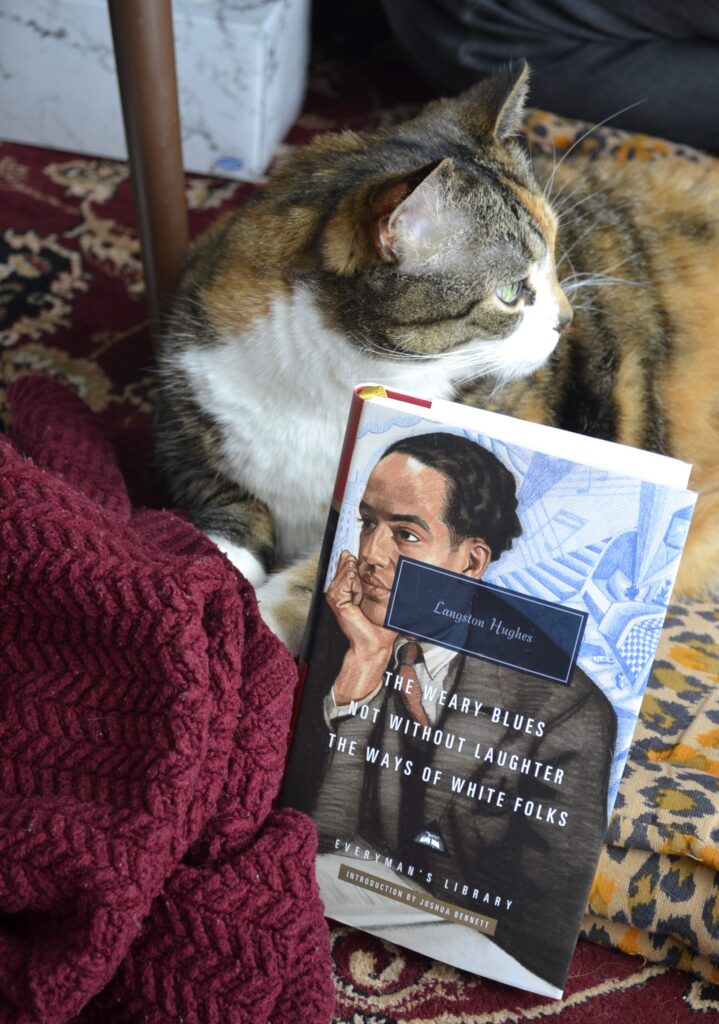 A calico tabby looks away to the right. Below her, on a book cover, Langston Hughes looks away to the left.