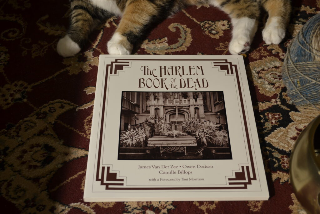 The Harlem Book of the Dead is an oversized paperback with an art deco border around the title and a picture of a casket surrounded by flowers.