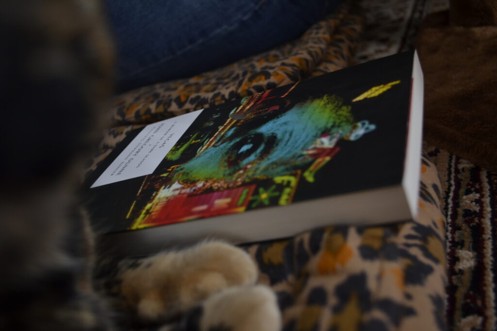 A dark book with neon images on the cover can been seen at an angle beside a pair of orange paws.