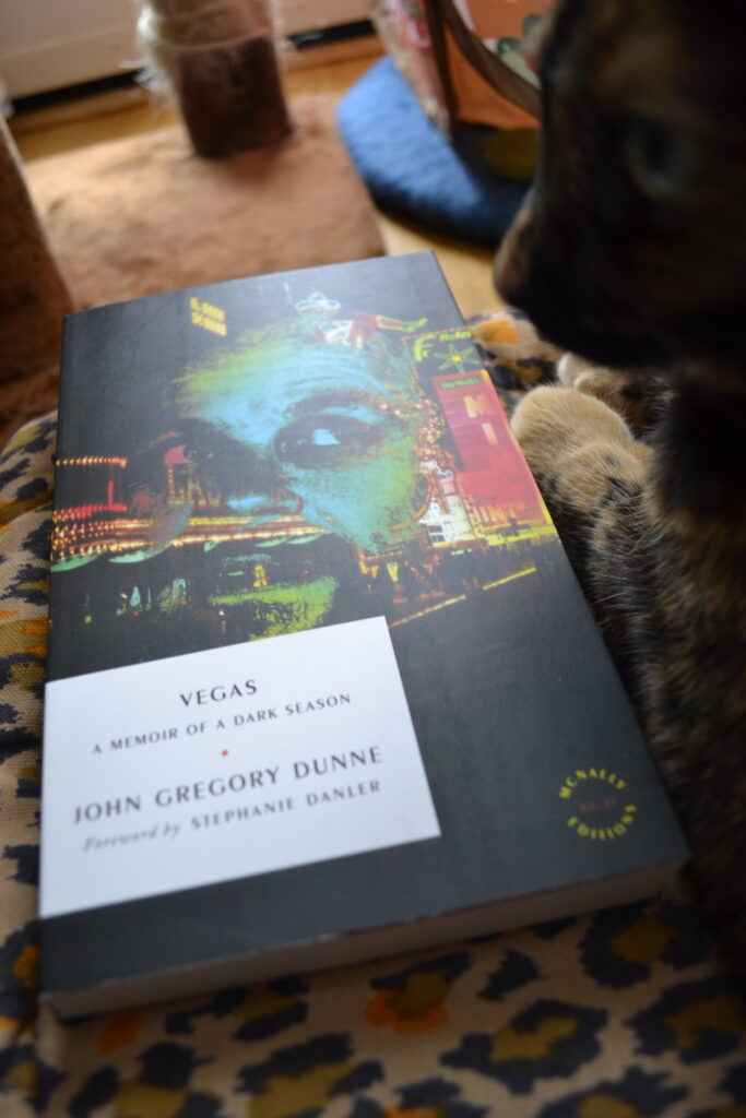 A tortie cat lies along side a copy of Dunne's Vegas.
