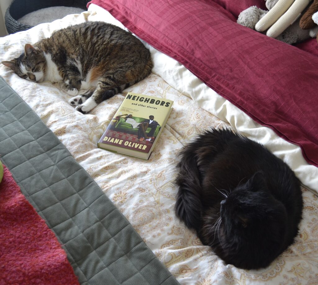 Sleeping on a bed, a tabby cat and a black long-haired cat look towards a book that is between them.