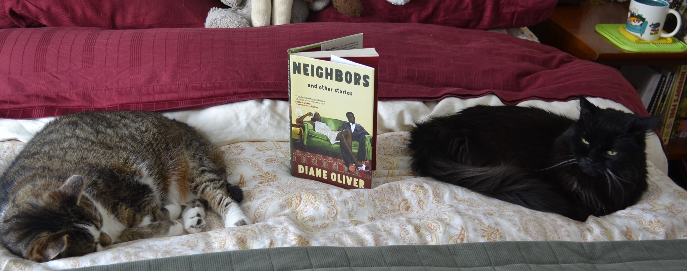 A tabby cat and a black fluffy cat sit on either side of Neighbors and Other Stories.