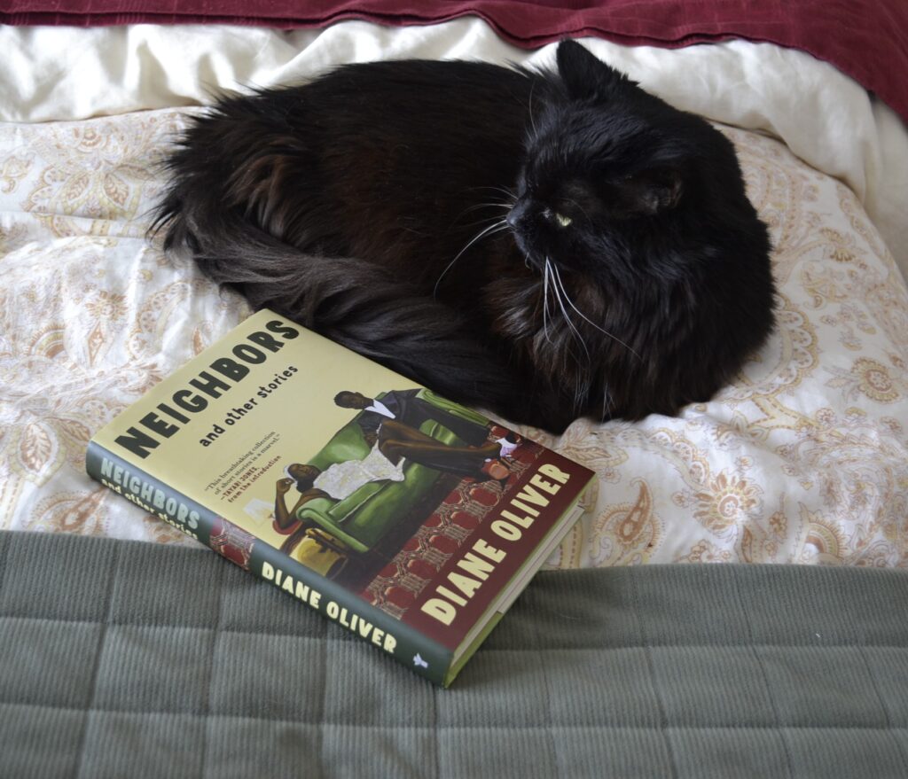A fluffy black cat curls beside a hardcover book.