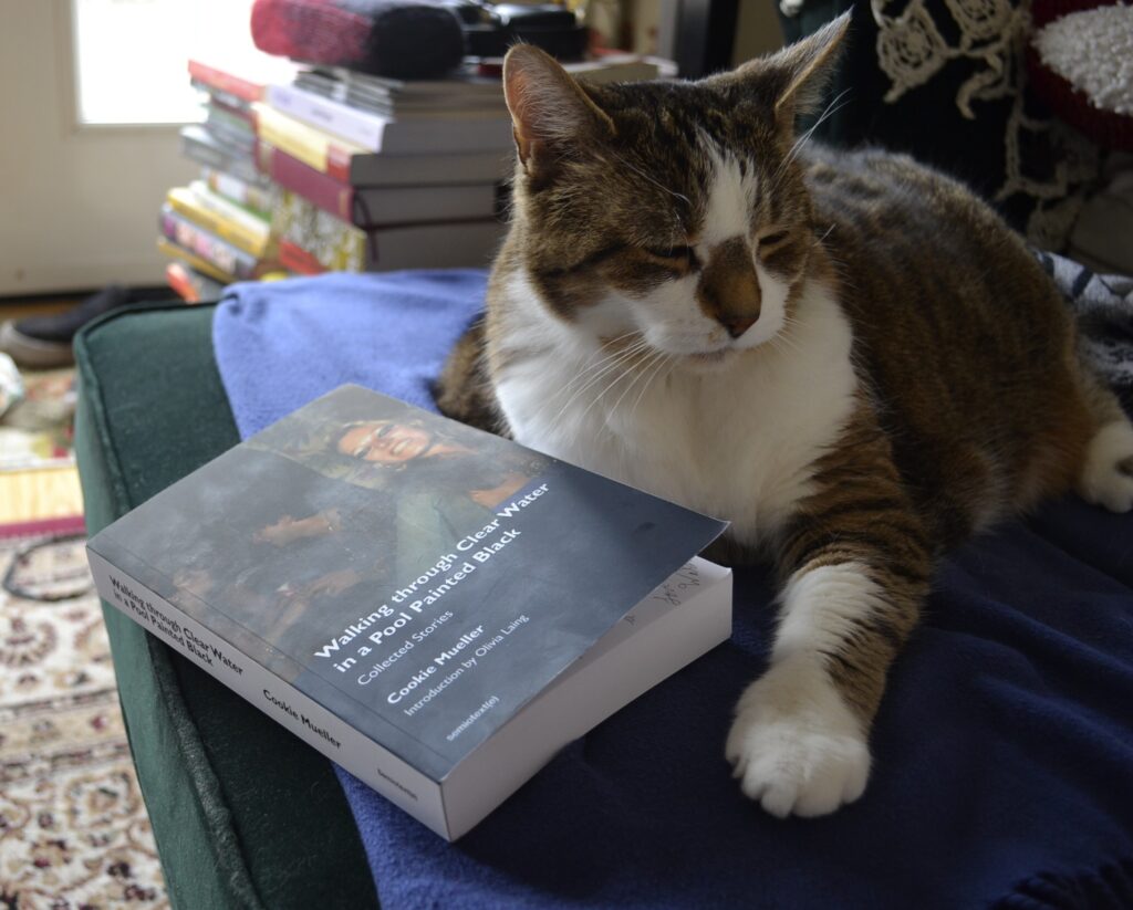 A sleepy tabby cat puts a paw out beside Walking Through Clear Water in a Pool Painted Black.