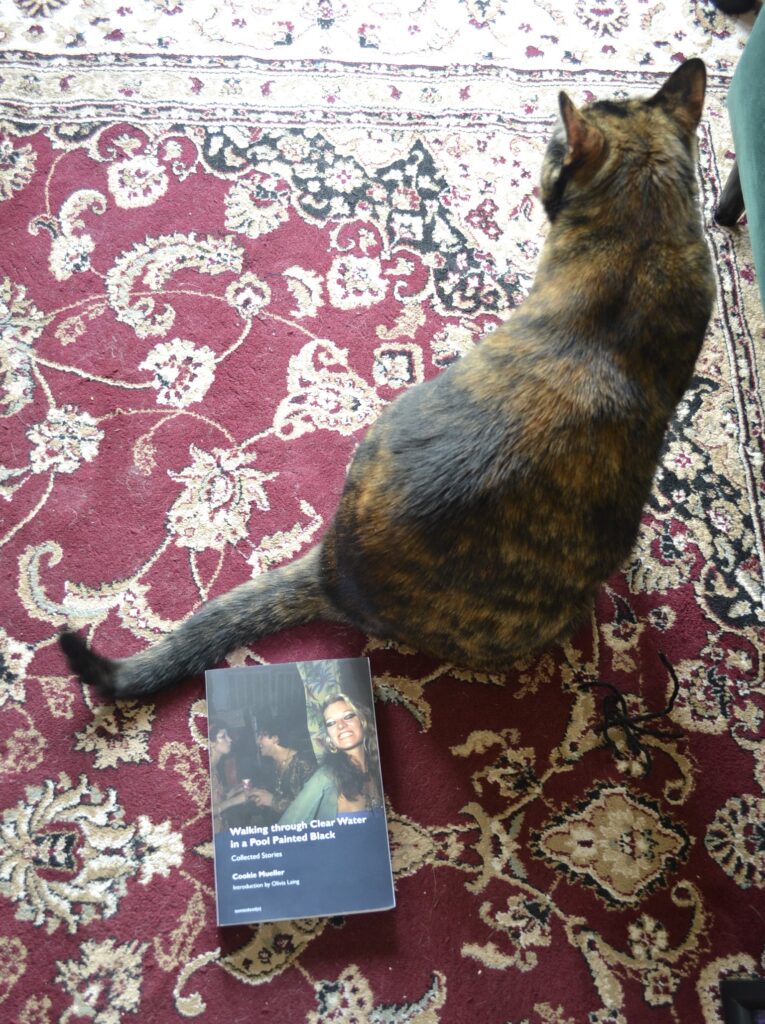 A tortoiseshell cat sits on a rug, looking away. On the floor behind her is a paperback book.