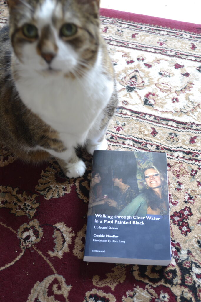 Walking Through Clear Water in a Pool Painted Black by Cookie Mueller is a thick paperback book.