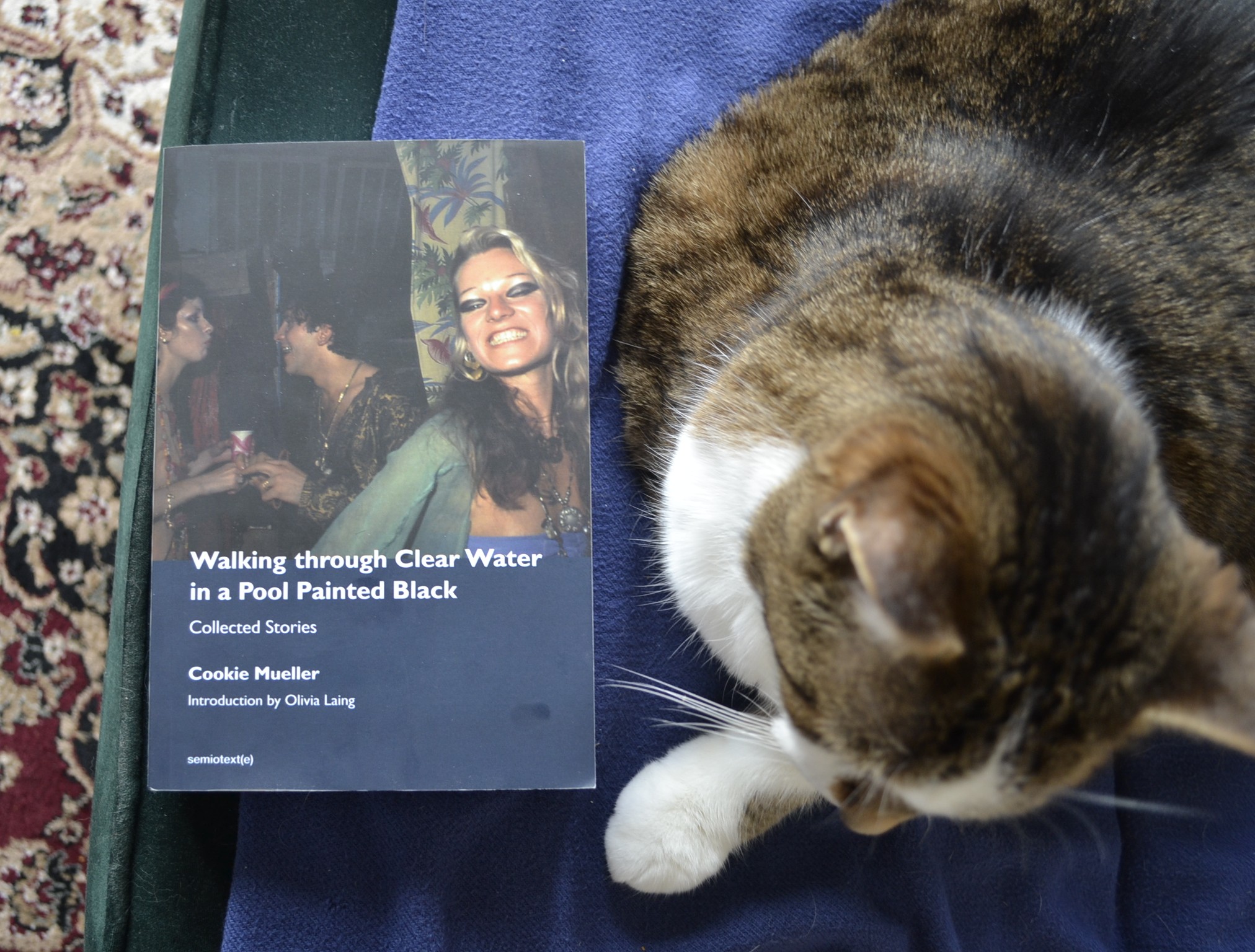 Walking Through Clear Water in a Pool Painted Black