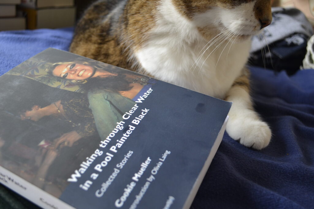 Cookie Mueller's Walking Through Clear Water is a softcover book. On the cover is a picture of a tanned light-skinned woman with long blonde-streaked hair and wearing heavy makeup. She is at a party, her arms are thrown back, and she is smiling.