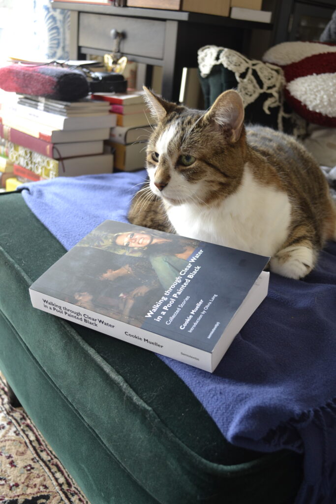 A tabby cat with a brown nose sits behind a paperback book by Cookie Mueller.