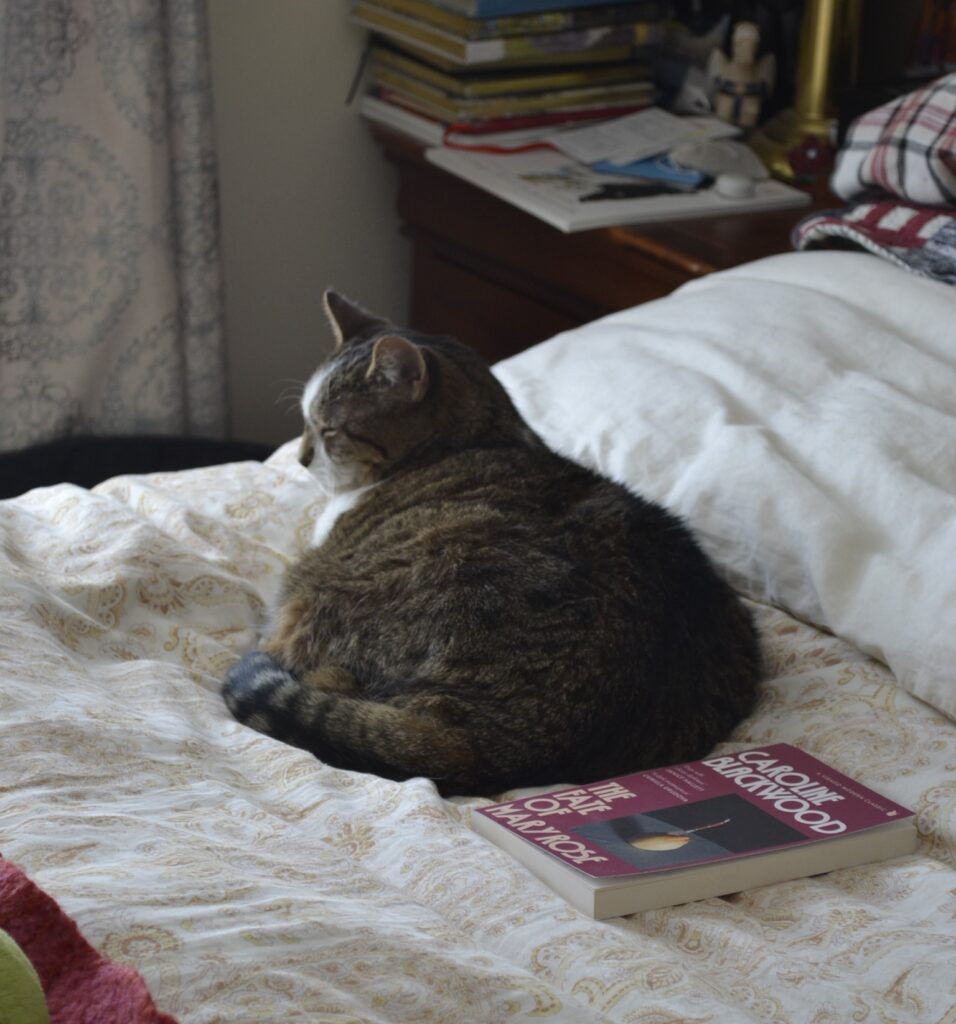 A brown tabby cat sits in a puddle, her eyes closed in happiness. A book sits behind her.