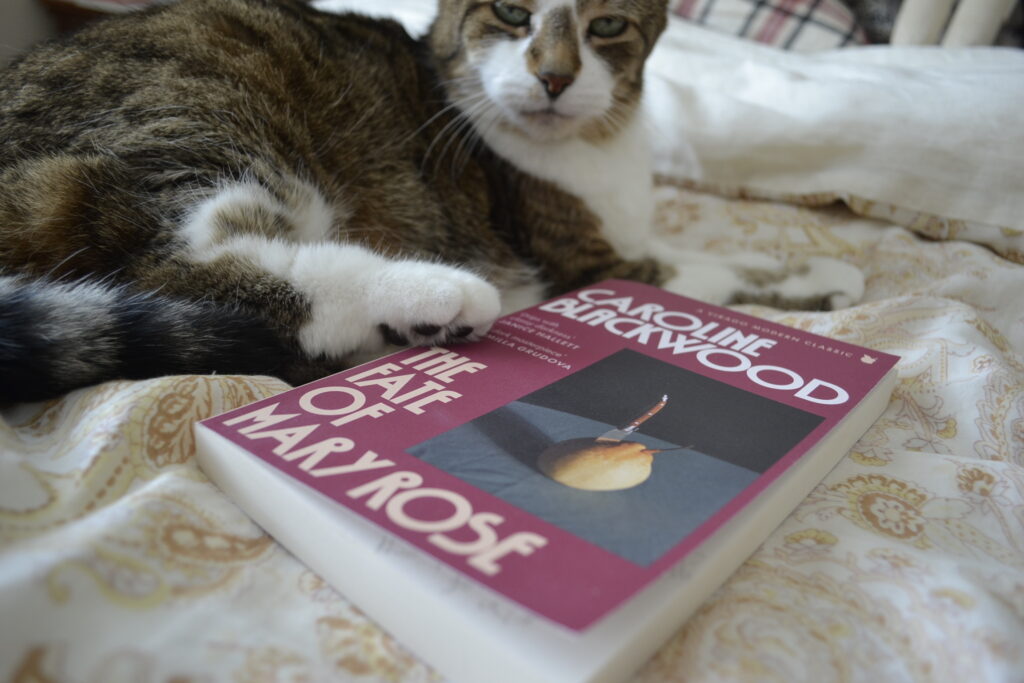 A tabby cat looks disdainfully as she puts her back paws on a book.