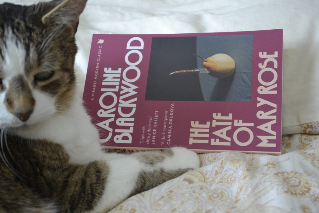 A tabby cat sits beside a dark pink book. The book is The Fate of Mary Rose.