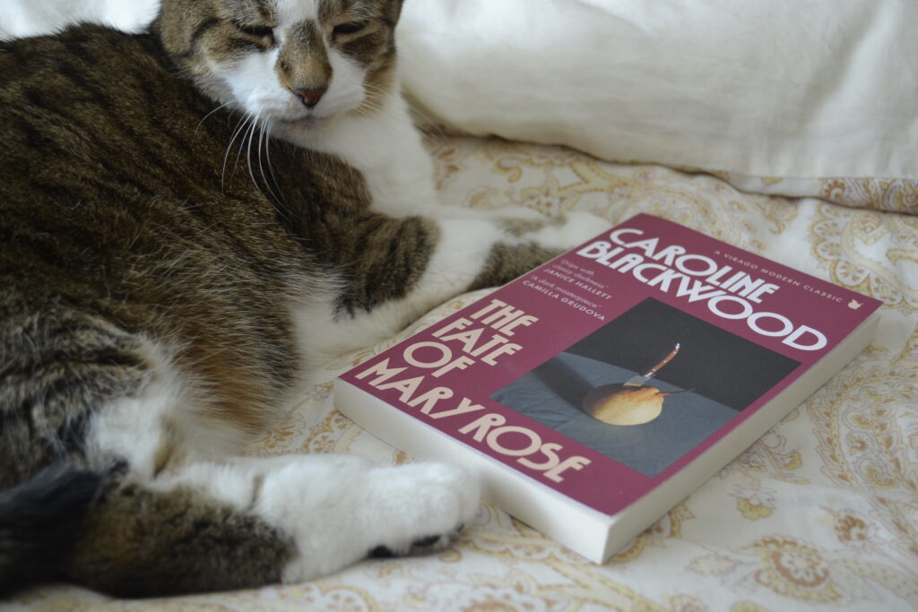 A tabby cat sits beside a pink book with a picture of a knife stabbed into a pear on the cover.