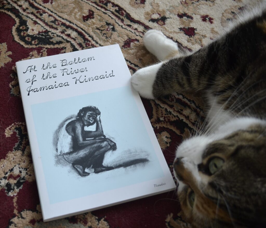 A calico tabby puts her white paws against the side of Jamaica Kincaid's At the Bottom of the River.