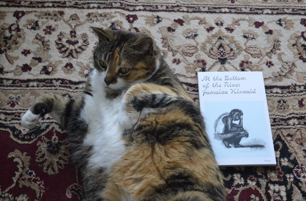 Beside a calico tabby is a small white paperback book: At the Bottom of the River by Jamaica Kincaid.