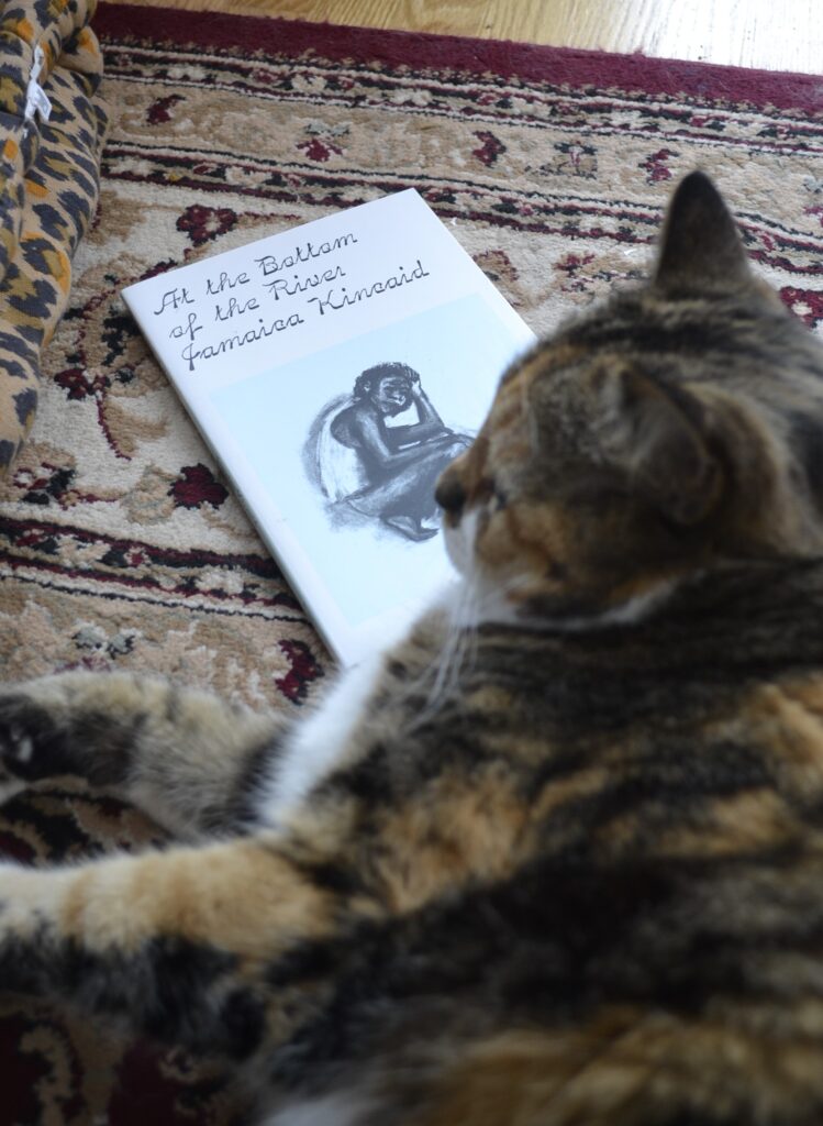 A calico tabby lays on a copy of At the Bottom of the River.