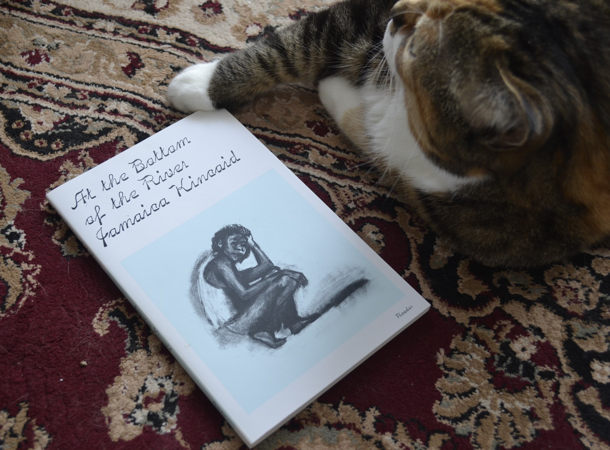 At The Bottom of the River by Jamaica Kincaid features a charcoal drawing of a Black person crouching.