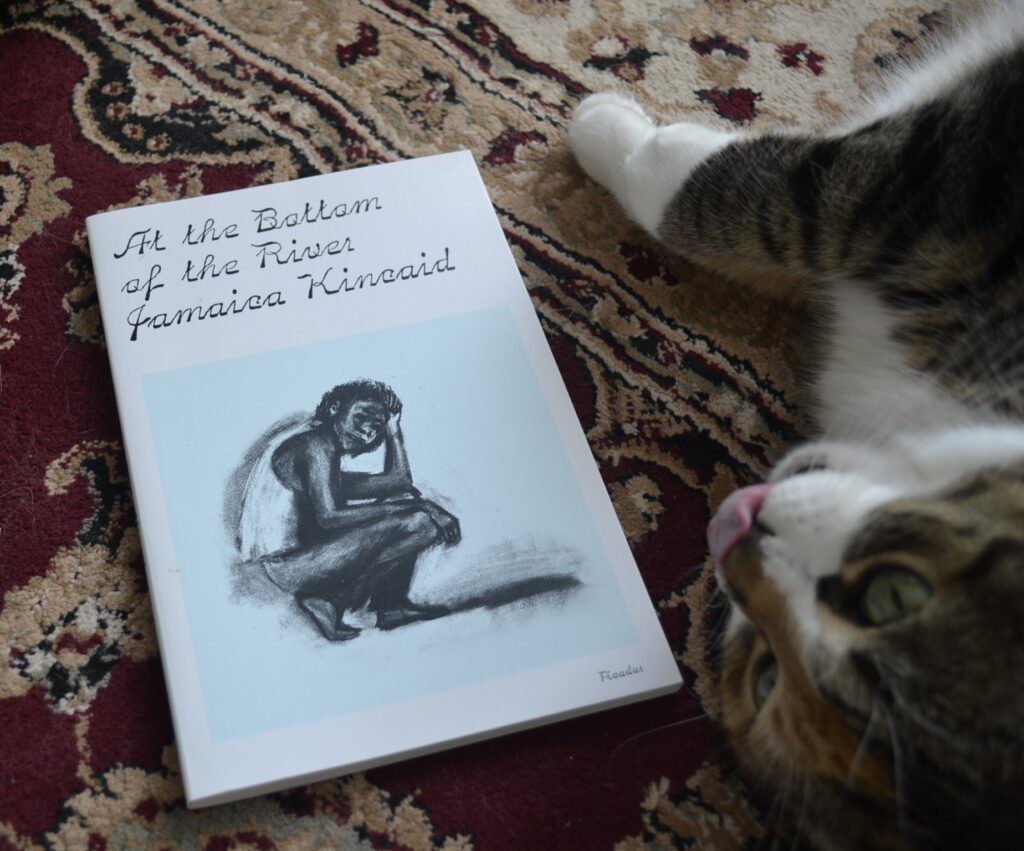 A calico tabby rolls and licks her nose beside a book.