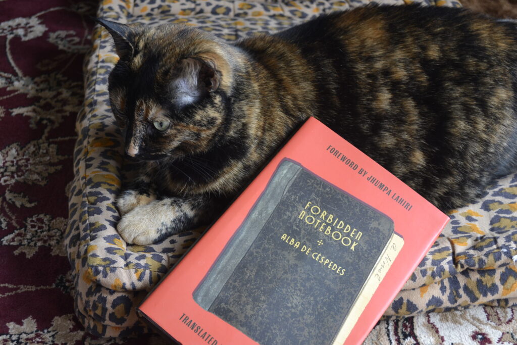 A tortoiseshell cat sits sweetly beside a red hardcover book.