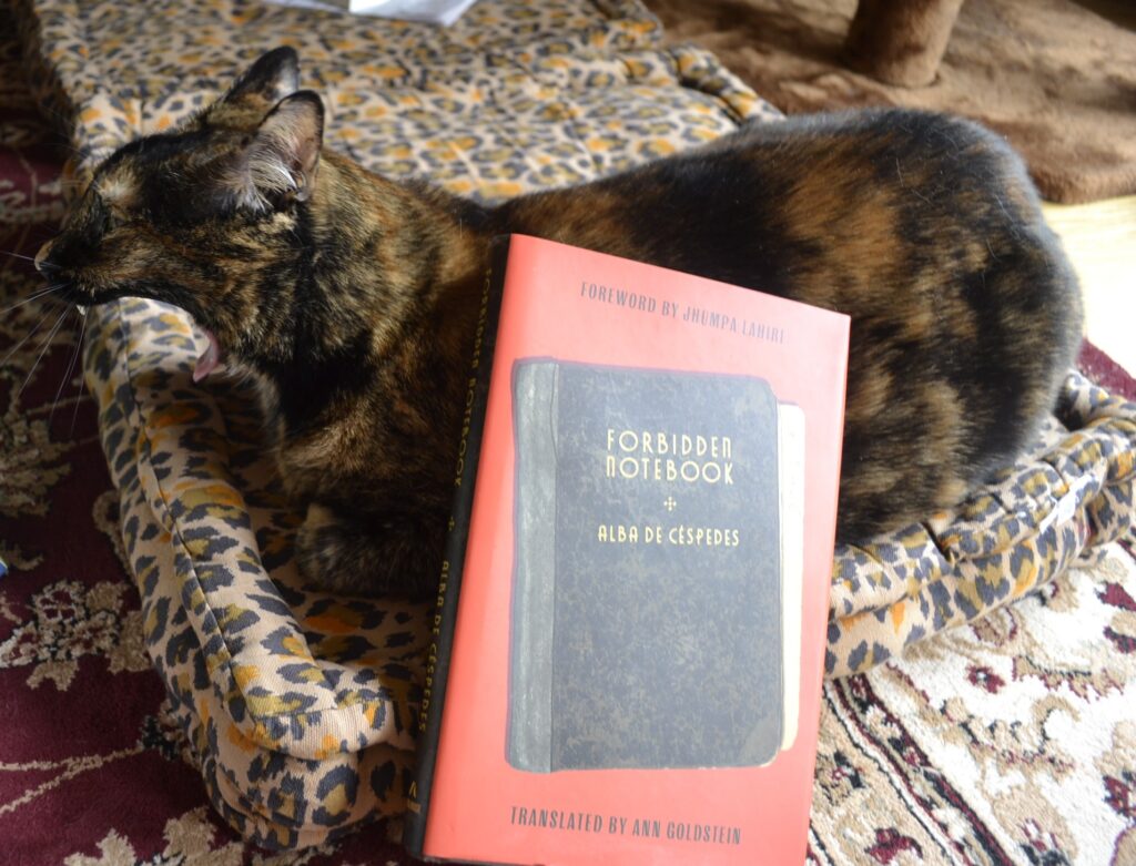 A tortoiseshell cat yawns so wide that her mouth is bigger than her head. The red book beside her is Forbidden Notebook, written by Alba De Céspedes and translated by Ann Goldstein.