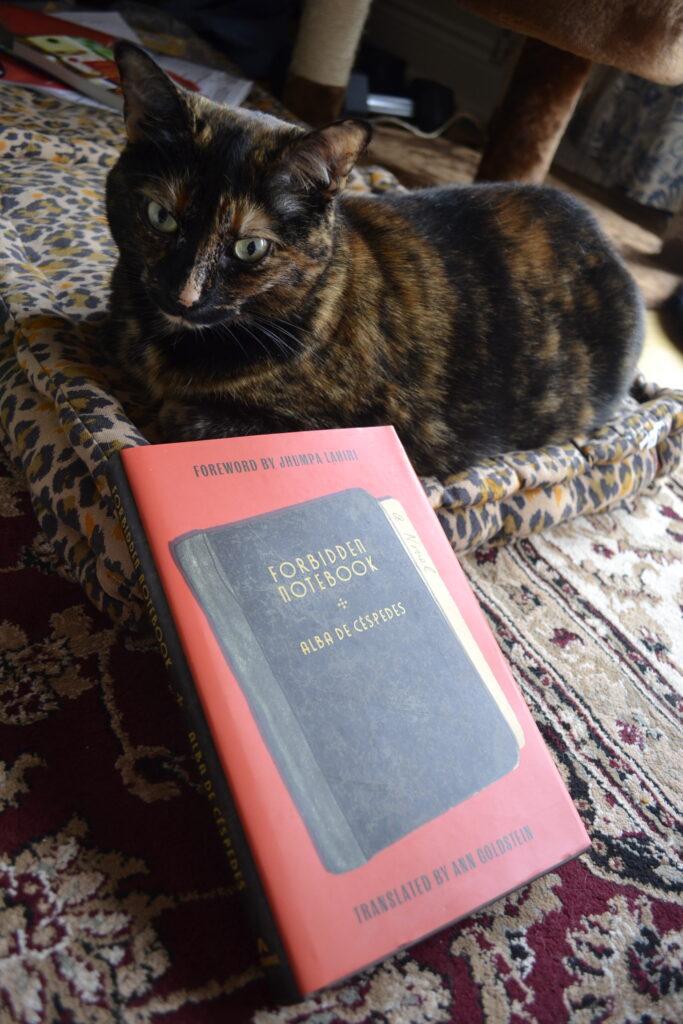 A tortoiseshell cat sits primly in a perfect loaf. Beside her is Forbidden Notebook by Alba De Céspedes.