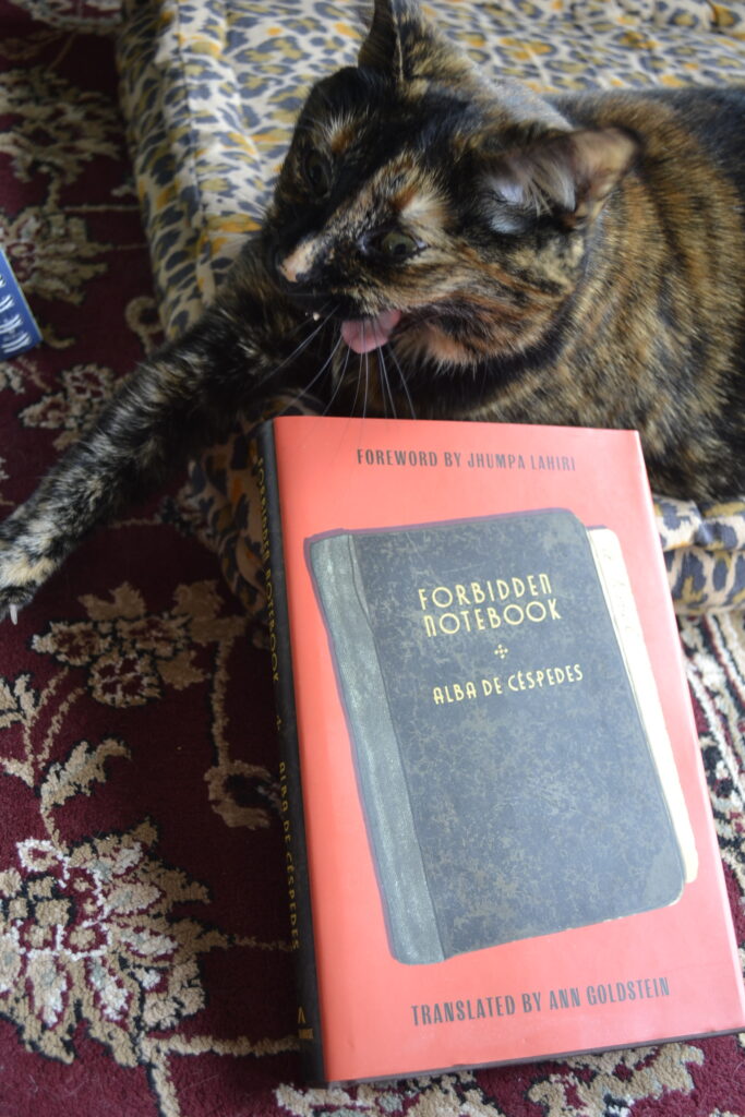 A tortoiseshell cat rolls her eyes to the side, her mouth wide and her tongue sticking out. Beside her is a copy of Forbidden Notebook.