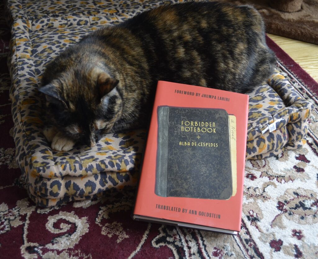 A tortoiseshell cat curls around a red hardcover book by Alba De Céspedes.